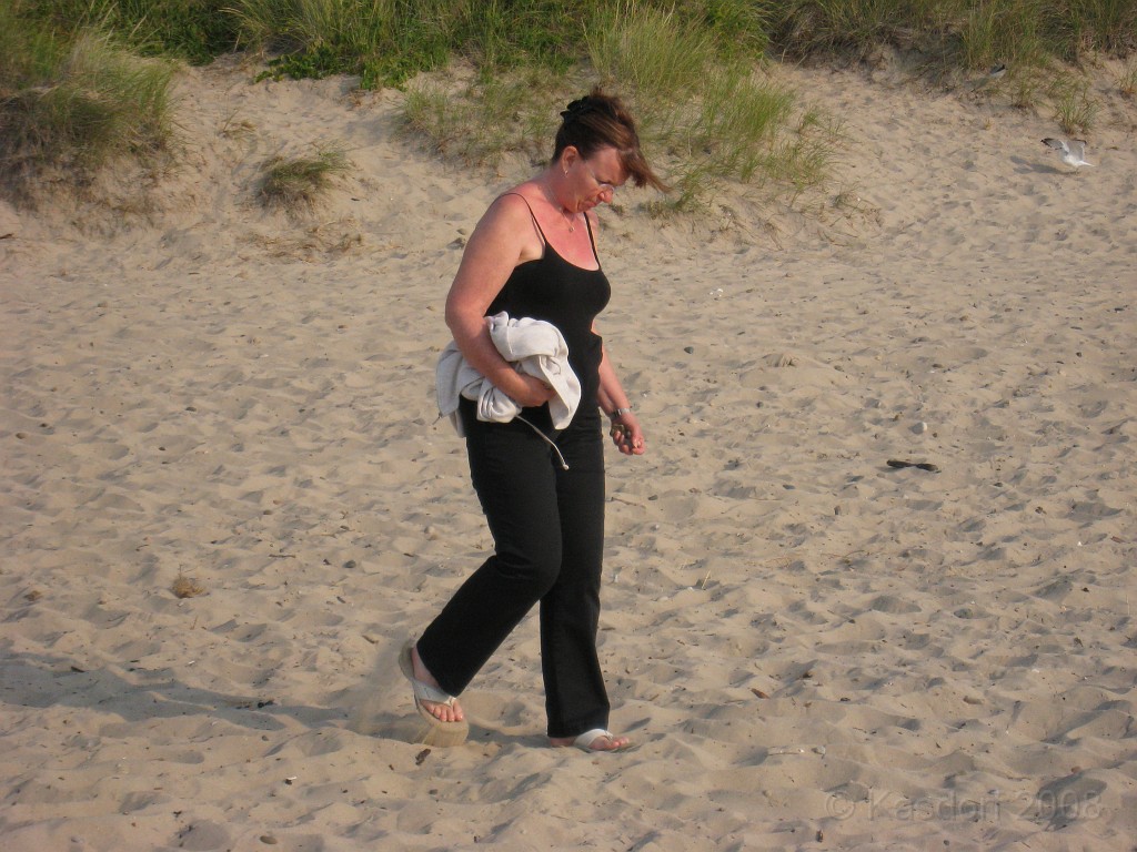 Michigans West Coast 2009 2320.jpg - Labor Day 2009. A trip along Michigans west coast to see beachs, art and buffets.